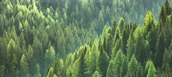 现代废物回收工厂  