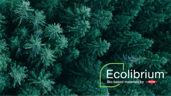 Aerial view of forest, green trees