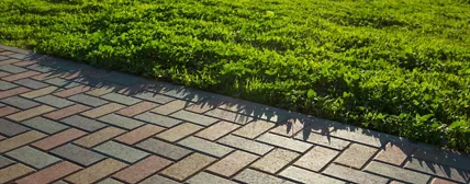 建筑应用专用涂料