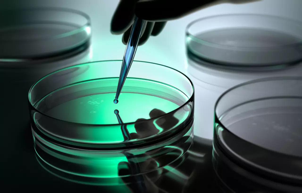  緑の液体の入ったペトリ皿