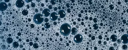 工艺许可与催化剂