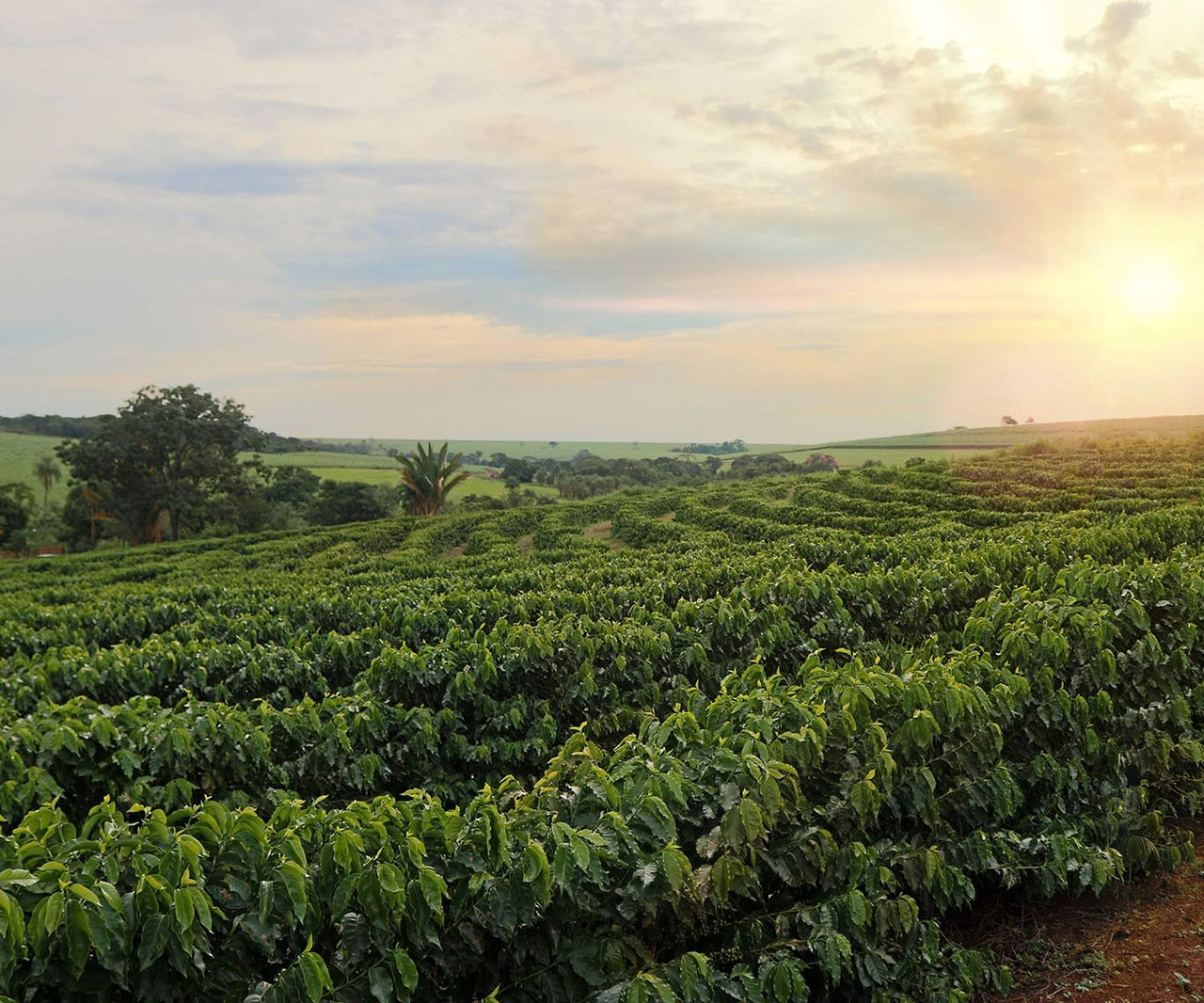 View of a field with rolling hills in background