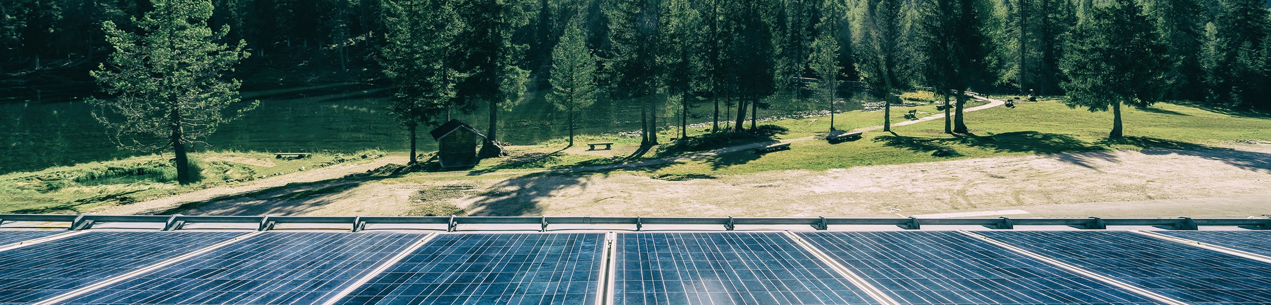trees and solar panels