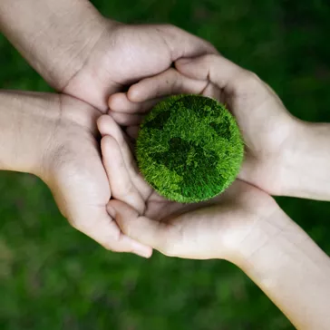 净零排放和碳中和概念 净零排放目标 天气中和长期策略。