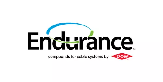 Endurance logo