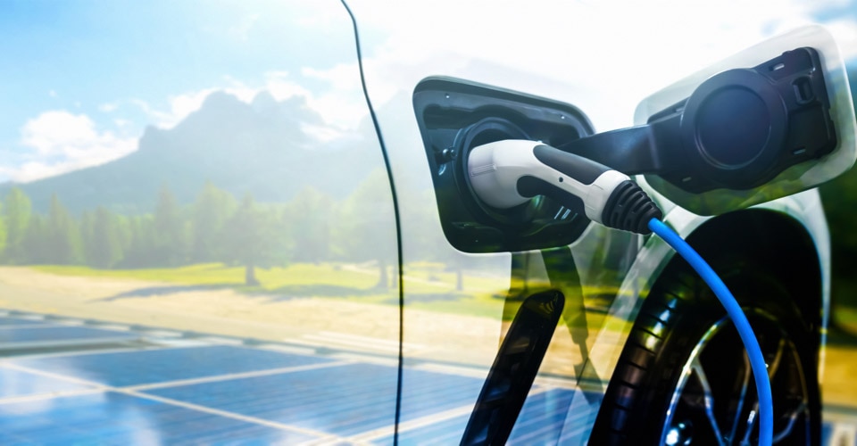 Dow volunteers prepare for tree planting event