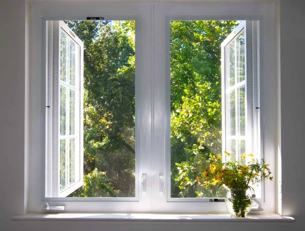Window with white trim and flowers on windowsill